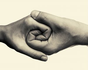 shutterstock_496149412