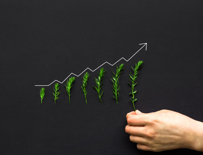 business coaching USA